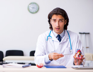 Wall Mural - Young doctor cardiologist with heart model