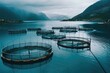 Fish cages floating on the water, suitable for aquaculture and fish farming