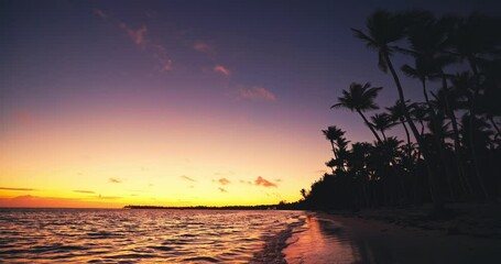 Wall Mural - Sunset over paradise island beach with palm tree silhouettes and lapping waves of caribbean sea on the sand shore seascape panorama
