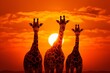 Golden african sunset. majestic giraffes roaming in the serene african savannah landscape