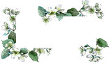 Watercolor hand painted jasmine frame. PNG transparent background