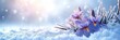 Irises Under Snow Buds Iris Break, Banner Image For Website, Background, Desktop Wallpaper