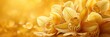 Yellow Orchid Flowers Border Copy Space, Banner Image For Website, Background, Desktop Wallpaper