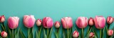 Fototapeta Tulipany -  Banner Text Hello March Beautiful Flowers, Banner Image For Website, Background, Desktop Wallpaper