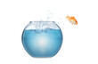 © alphaspirit - Goldfish leaps out of the aquarium to throw itself into the sea