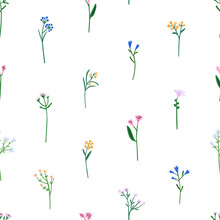 Seamless Floral Pattern. Spring And Summer Field Flowers, Endless Background. Botanical Repeating Print Design, Tiny Stems, Blooms. Flora Texture For Textile, Fabric. Flat Graphic Vector Illustration