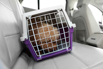 Wall Mural - Cute dog in pet carrier travelling by car