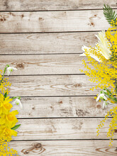 Spring Background With Flowers Of Mimosa, Yellow Daffodils, White Tulips And Snowdrops