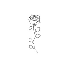 Wall Mural - Rose flower continuous one line drawing  outline vector illustration