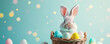 Funny bunny sitting in wicker basket full of colourful eggs on the blue background. Easter concept.