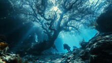Divers Swim Underwater Among The Trees. Diving With Scuba Gear And Fins. Concept: Water Exploration And Treasure Hunting In A Flooded Area
