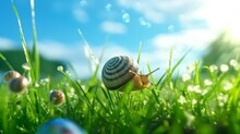Banner Snail In Grass With Morning Dew Grass And Celebrate Ai Generative
