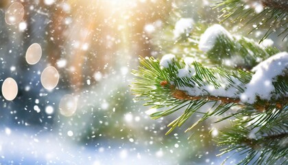  a close up of a pine tree branch covered in snow the blurred background has a sparkling effect in the sunlight and snowfalltemplate for design