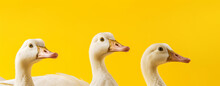 Geese On A Yellow Background, Generative AI