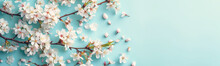 Funny Bunny Toy Lying On The Blue Background With Pastel Painted Eggs And Blooming Cherry Branches. Easter Concept.