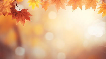 Wall Mural - maple leaves on abstract blurred background with bokeh copy space, light bright autumn background for text