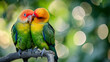 A pair of lovebirds cuddling together on a perch their feathers a mix of greens and yellows symbolizing companionship.
