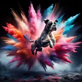 Fototapeta Dziecięca - a dog of the boxer breed in a jump, background with an explosion of multicolored powder, paint, bright colors