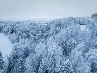 Wall Mural - Aerial view of winter landscape with snow covered forest in Switzerland, Europe.