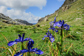 landscape and texture of nature