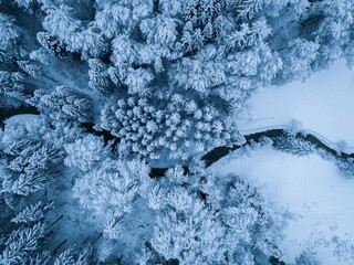 Wall Mural - Aerial view of river flowing through snow covered landscape in winter. Countryside in Switzerland, Europe.