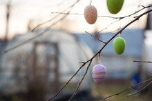 Backyard Decoration For Easter. Eggs Hung On Tree Branch