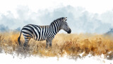 Fototapeta  - zebra , watercolor style illustration , profile view , book cover
