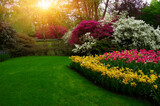 Fototapeta Kwiaty - Spring flower park  in the sunlight