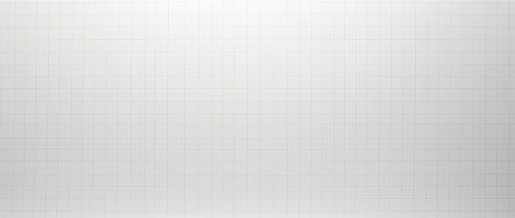 Poster - a white paper with blue grid lines, in the style of minimalistic japanese, gray, simple, clean-lined, graph paper grids