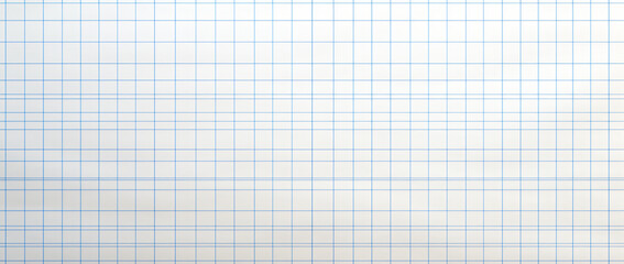 Poster - a white paper with blue grid lines, in the style of minimalistic japanese, gray, simple, clean-lined, graph paper grids