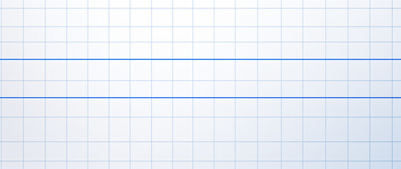 Poster - a white paper with blue grid lines, in the style of minimalistic japanese, gray, simple, clean-lined, graph paper grids