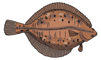 Sticker - Flounder illustration. Hand drawn underwater fish icon