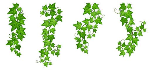 Sticker - Vines set. Green leaves ivy. Hanging creeper