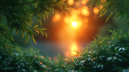 Canvas Print -  a blurry image of the sun shining through the leaves of a tree in the background is a blurry image of the sun shining through the leaves of a tree.