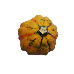 Wall Mural - A small decorative yellow and orange pumpkin stands on a white background. autumn Halloween. view from above. pumpkin isolate