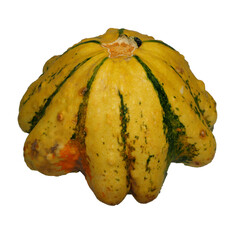 Wall Mural - A small decorative yellow and green pumpkin stands on a white background. autumn Halloween. vegetable