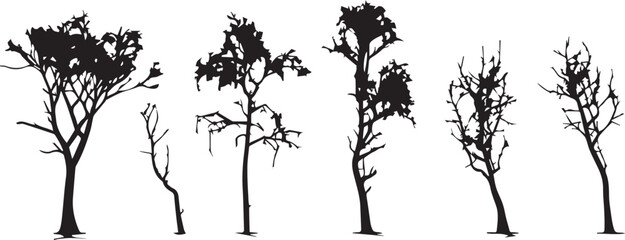 Set Trees. Hand drawn vector illustration	