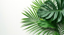 Top View Of A Tropical Green Palm Tree Leave On A White Backdrop With Big Empty Space For Products Photography Or Advertisement, Generative AI.