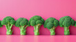 Brokkoli Köpfe stehen in einer Reihe isoliert vor einem pinken Hintergrund. Gesunde Ernährung, Gemüse Konzept
