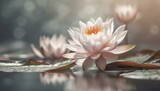 Fototapeta Kwiaty - Lilie wodne, nenufary, tapeta, dekoracja. Generative AI