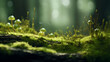 Freshness of nature growth in uncultivated forest beauty in springtime,,
Mushrooms growing on a mossy log in the forest, Little fungus growing on a mossy tree, side view,