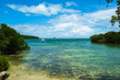 Florida Keys Landscape
