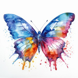 Fototapeta Motyle - Watercolour Painted Butterfly Illustration Splatter Design