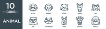 Animal Outline Icon Set Includes Thin Line Sloth, Monkey, Otter, Horse, Cat, Owl, Chameleon Icons For Report, Presentation, Diagram, Web Design
