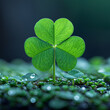 Three leaf clover growing in green grass with bokeh background.