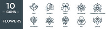 Flowers Outline Icon Set Includes Thin Line Tulip, Bluebell, Pansy, Delphinium, Strawberry Blossoms, Anthurium, Amarillys Icons For Report, Presentation, Diagram, Web Design