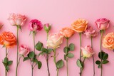 Fototapeta  - Composition of various roses. Floral background. For cards and banners