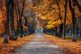 Fototapeta Natura - autumn alley .tree alley in the park in autumn time