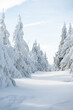 Mountains frozen forest, świeradów zdrój, krajobraz zimowy 