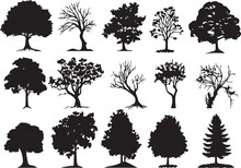 Set Trees. Hand Drawn Vector Illustration